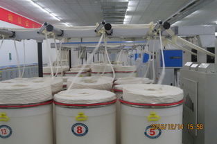 漢麻產(chǎn)業(yè)化關(guān)鍵技術(shù)及應(yīng)用推廣活動(dòng)成功舉行，助力產(chǎn)業(yè)高質(zhì)量發(fā)展