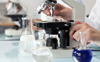 大連新圖聞科技 專業(yè)網(wǎng)站建設(shè)與制作服務(wù)指南